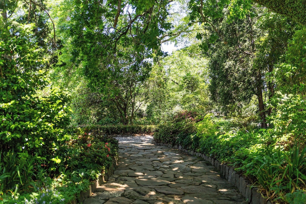 Comfort Resort Leura Gardens 56/65
