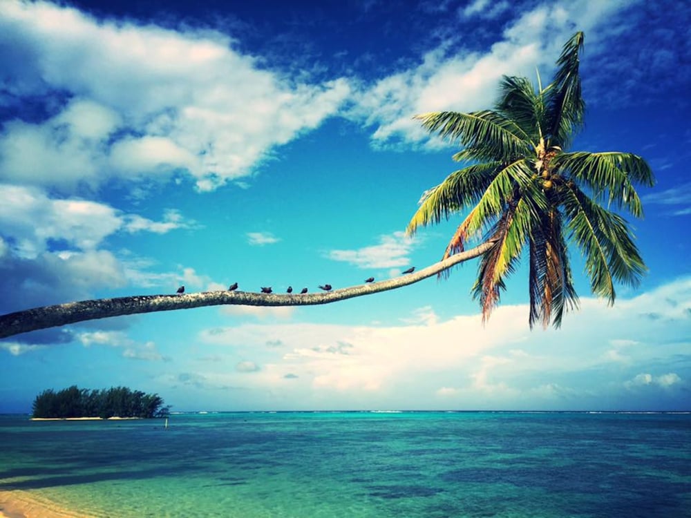 Moorea Beach Lodge 19/65