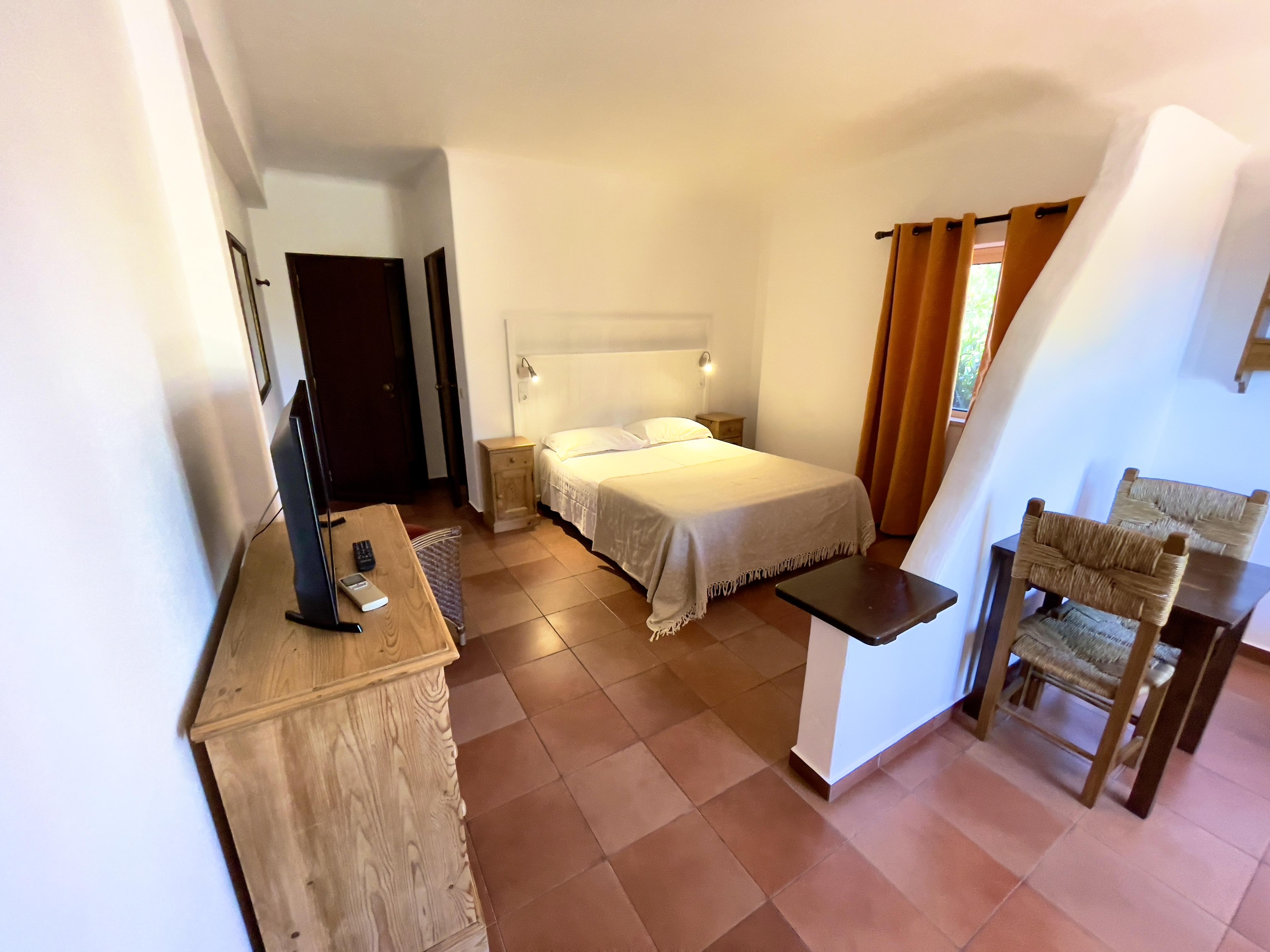 Studio, Balcony or Terrace