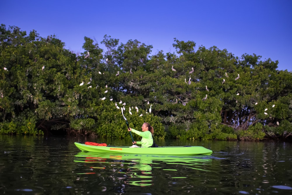 Ibis Bay Beach Resort 20/50