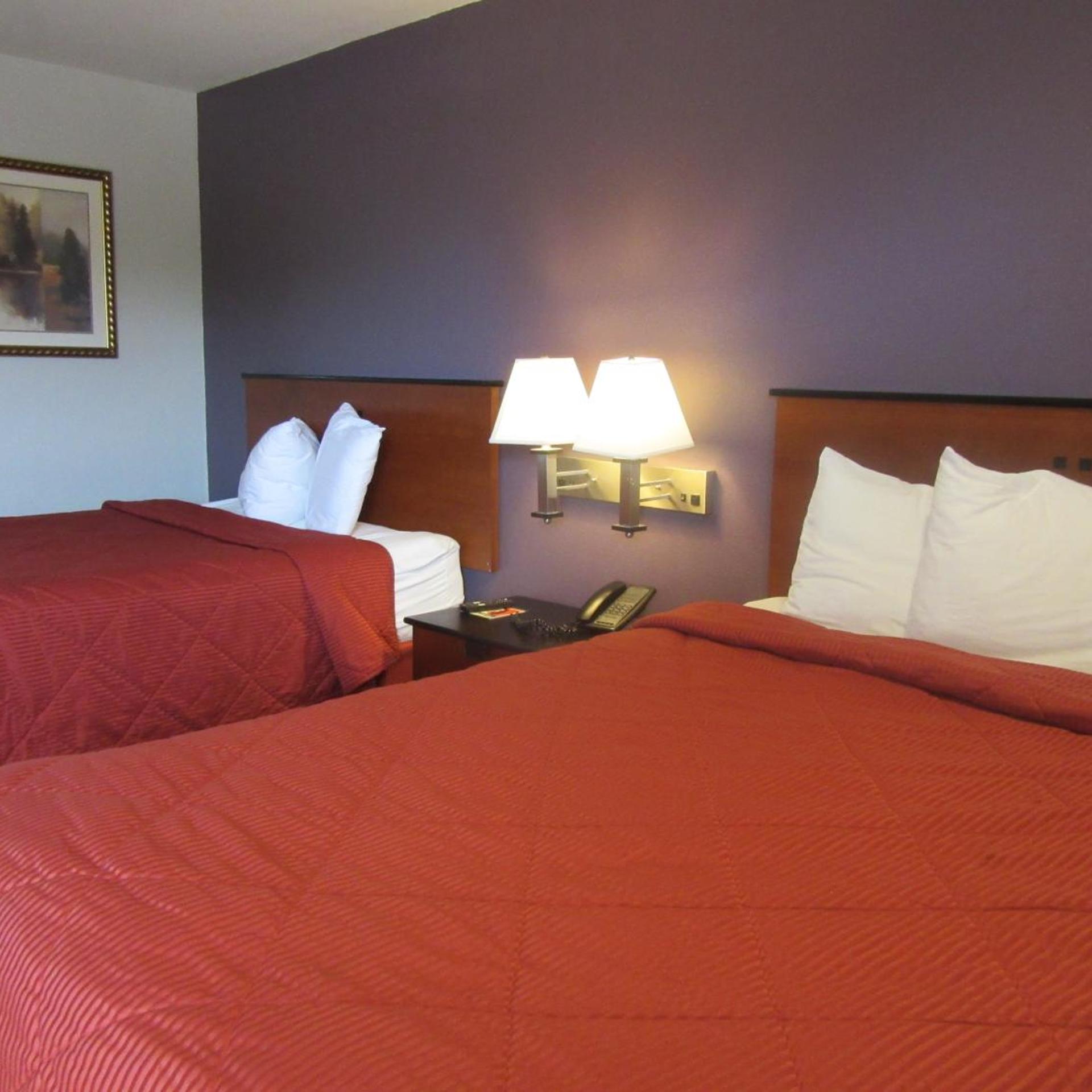 Room, 2 Double Beds, Pet Friendly