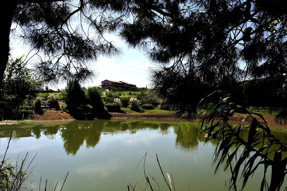 surroundings