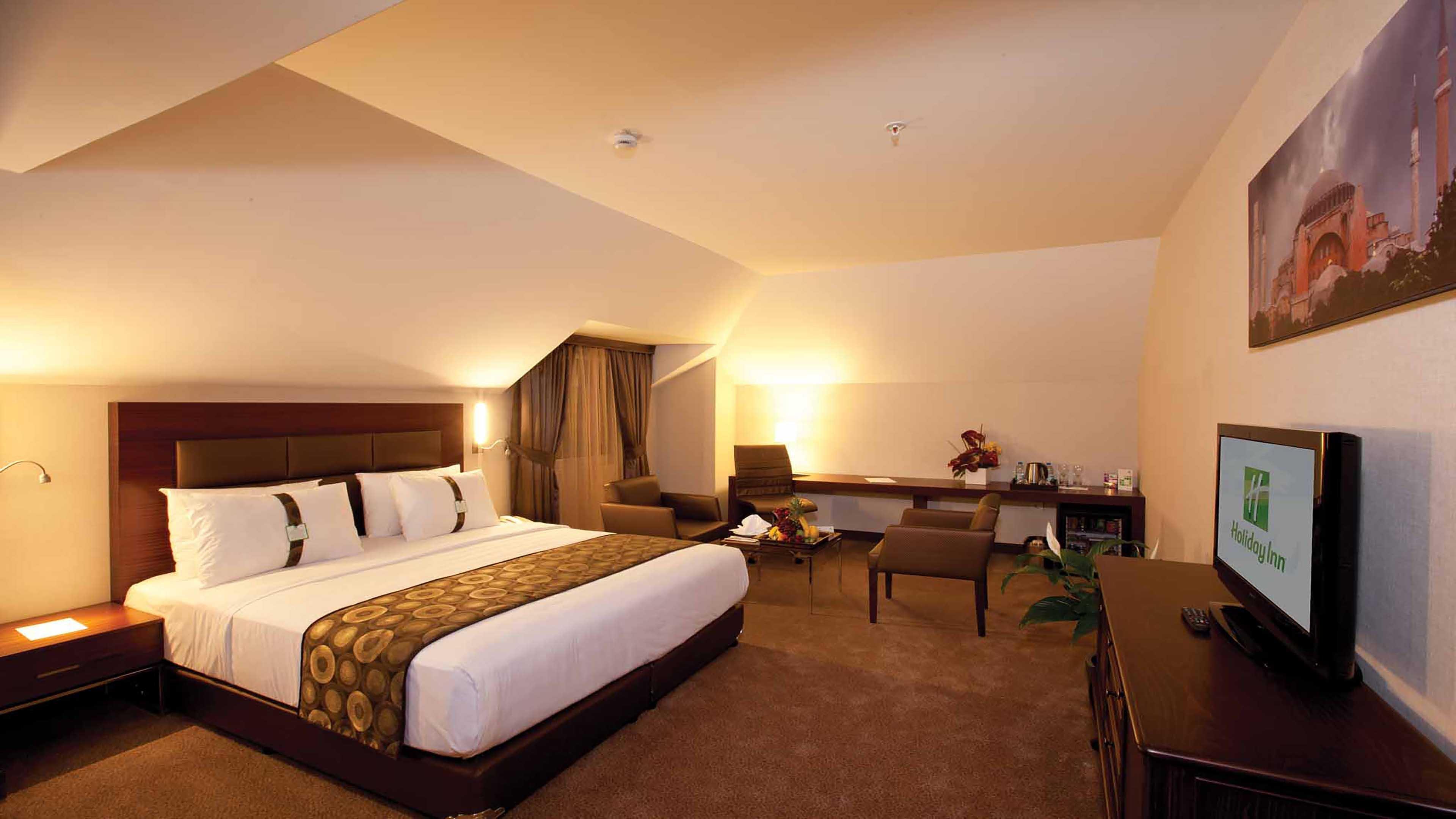 Holiday Inn Gebze Istanbul Asia 19/55