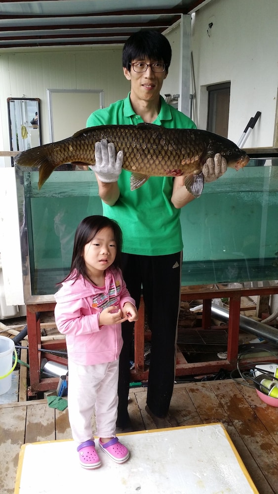 Noilriver Pension 6/50