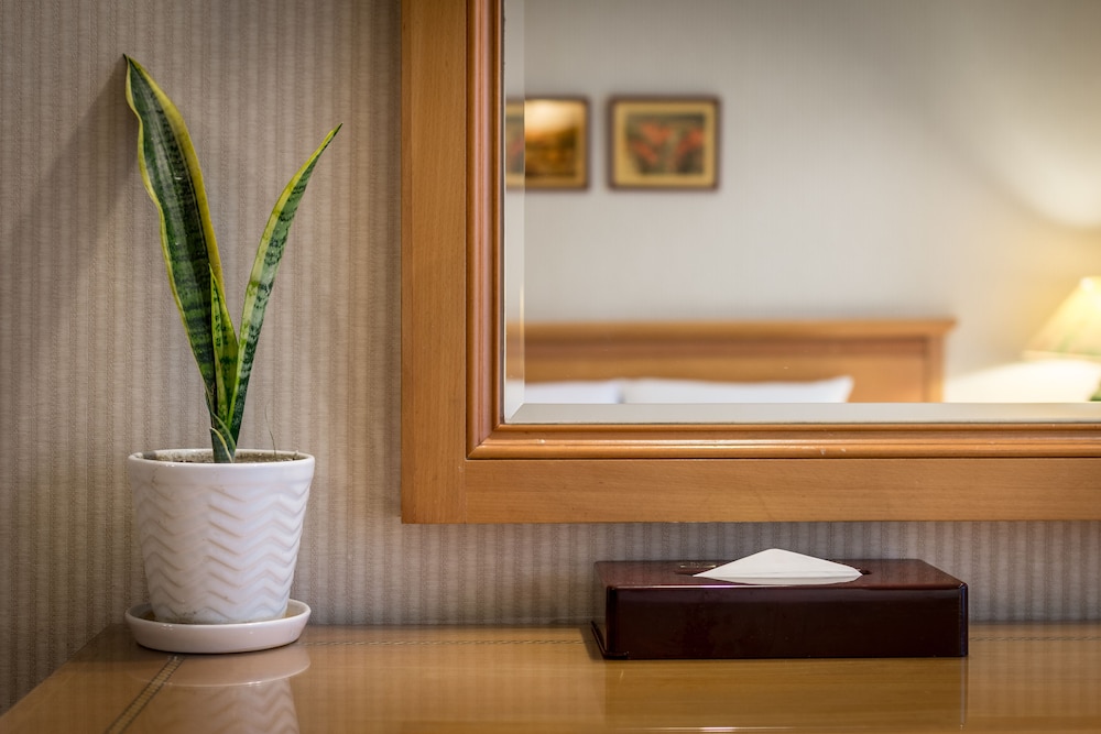 Jin Pin Hotel 43/73