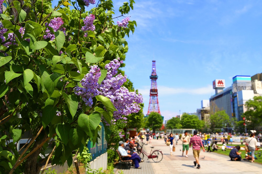 Grand Mercure Sapporo Odori Park 43/50