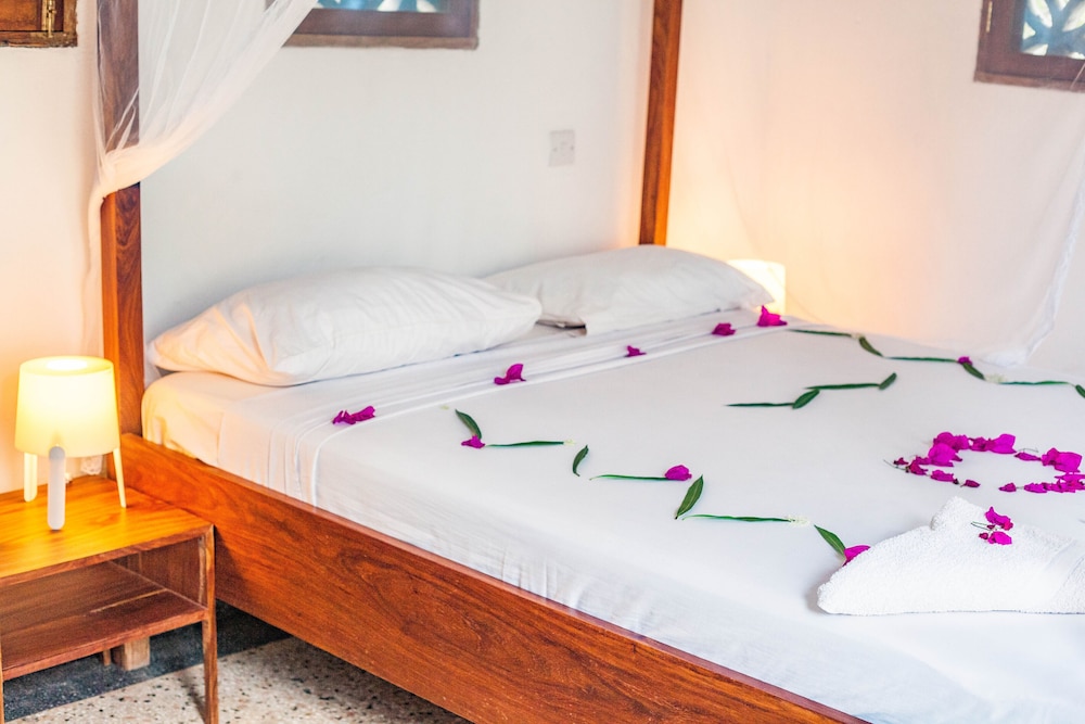 Arthotel Zanzibar 13/50