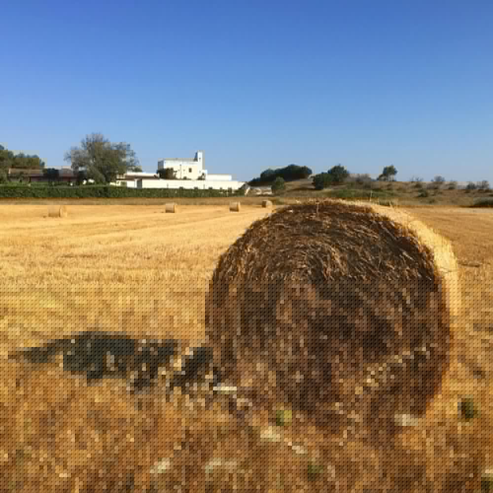 Hotel Masseria Fabrizio 58/62
