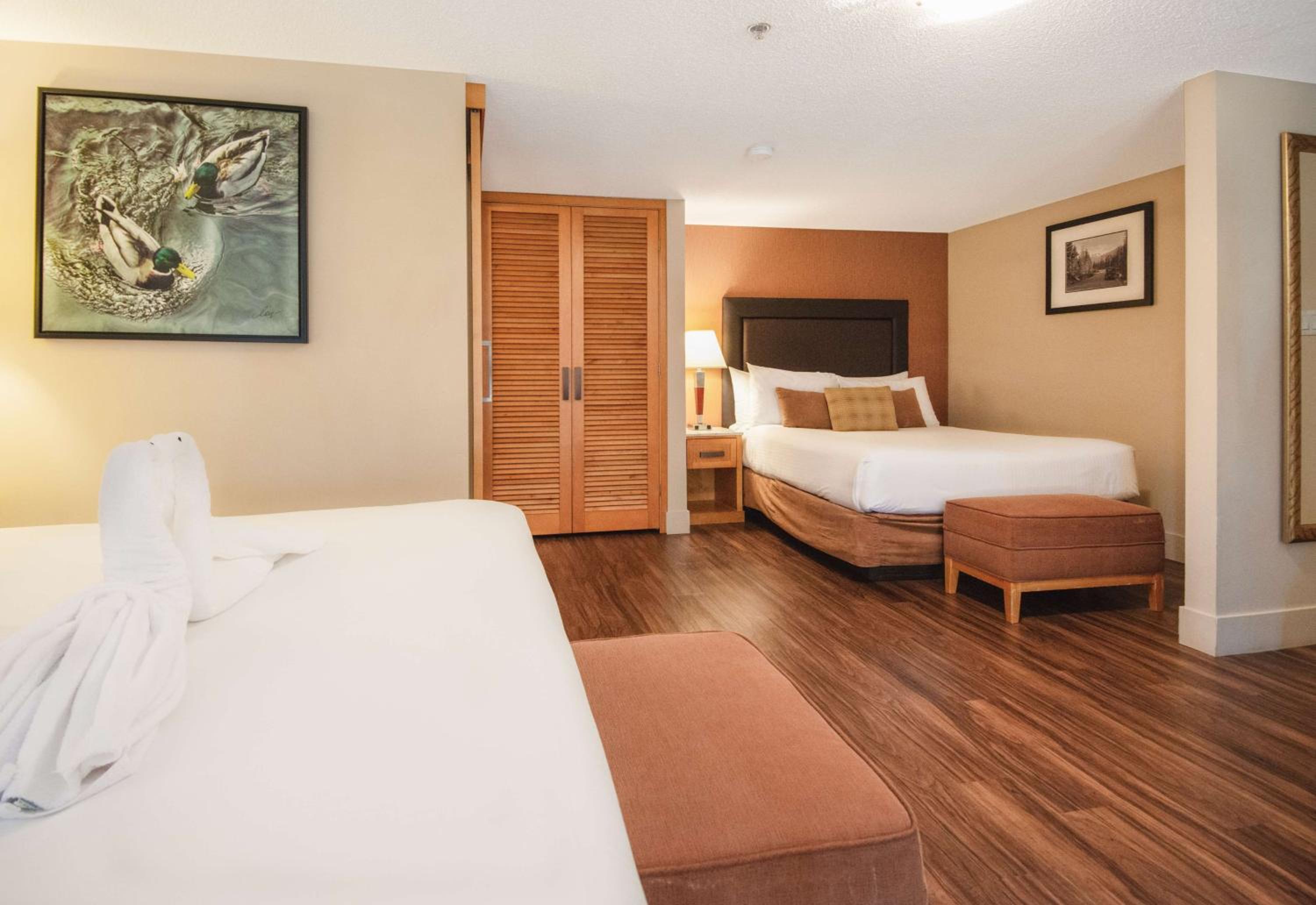 Loft, Coast, Premium, Suite, King Bed, Sofa