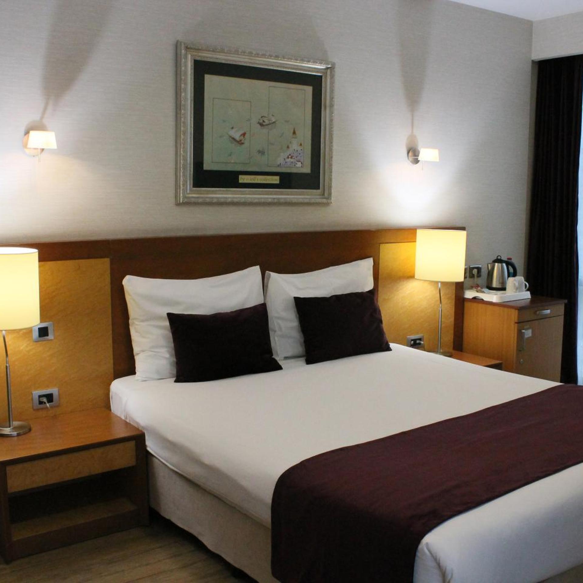 غرفة قياسية بإطلالة على المدينة، Byotell Hotel Istanbul 2/10