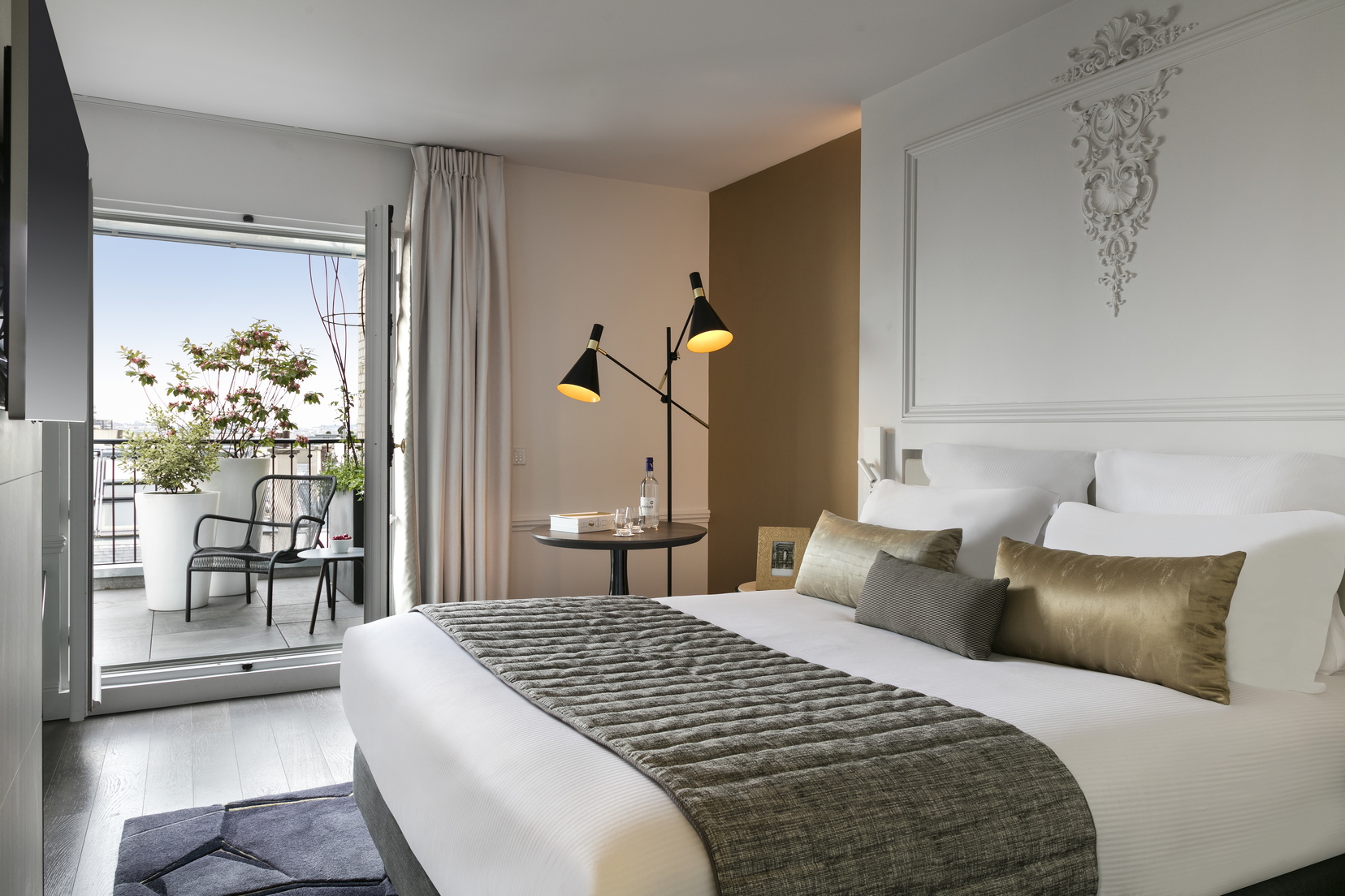 Duplex, Toits De Paris, Terrace