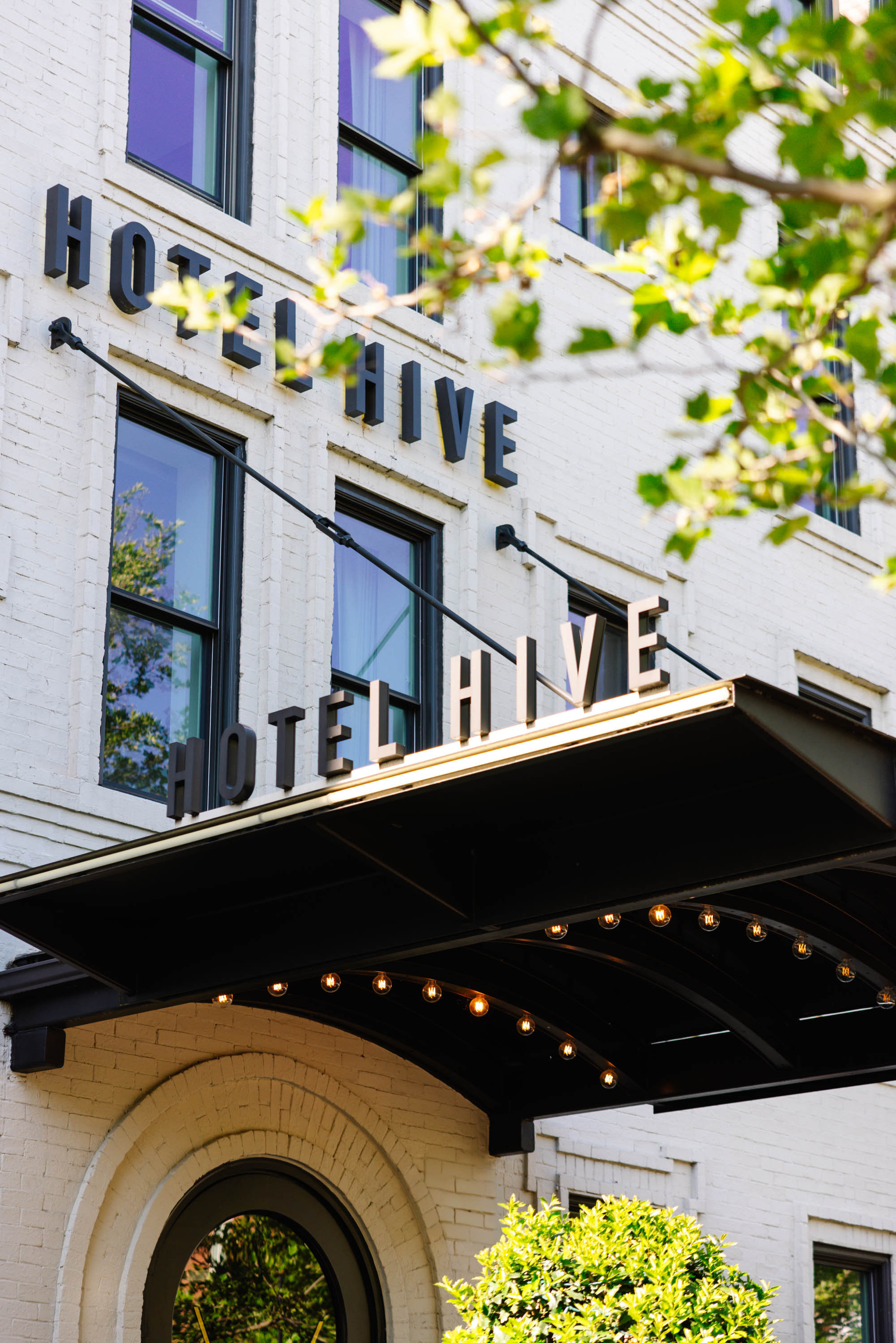 Hotel Hive 2/71