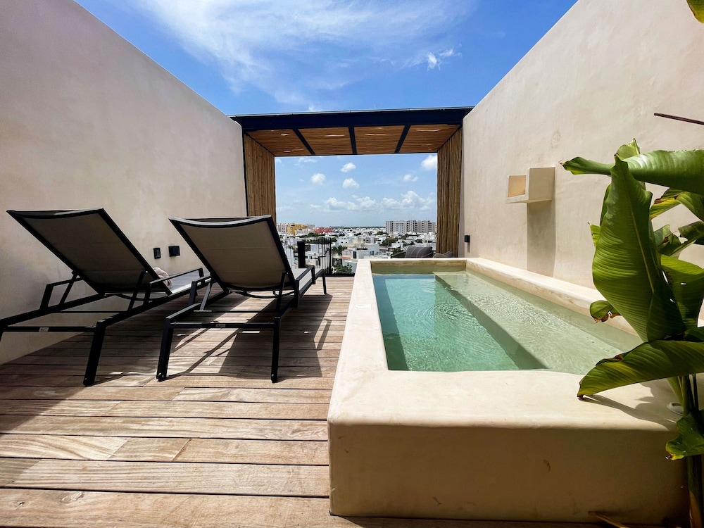 Hive Cancun 24/50