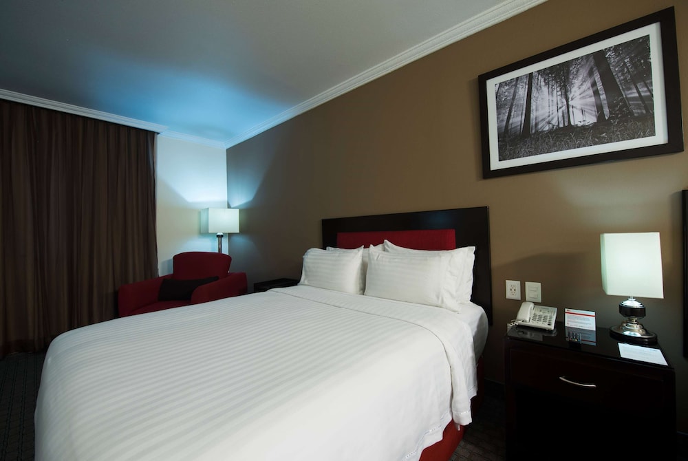 ROOM, KING BED, ACCESSIBLE