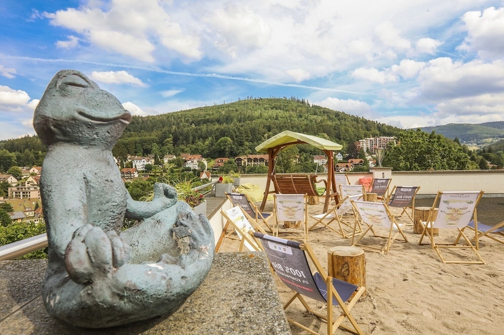 Schwarzwald Panorama 42/50