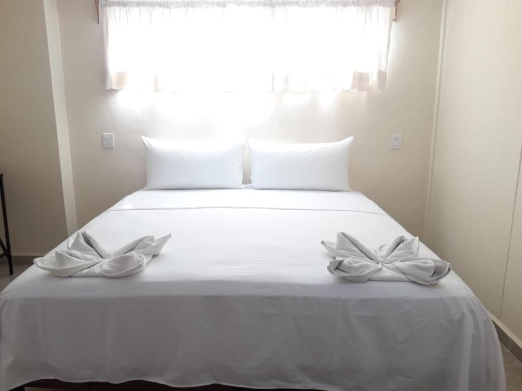 Hotel Ashly Loma Larga 16/45