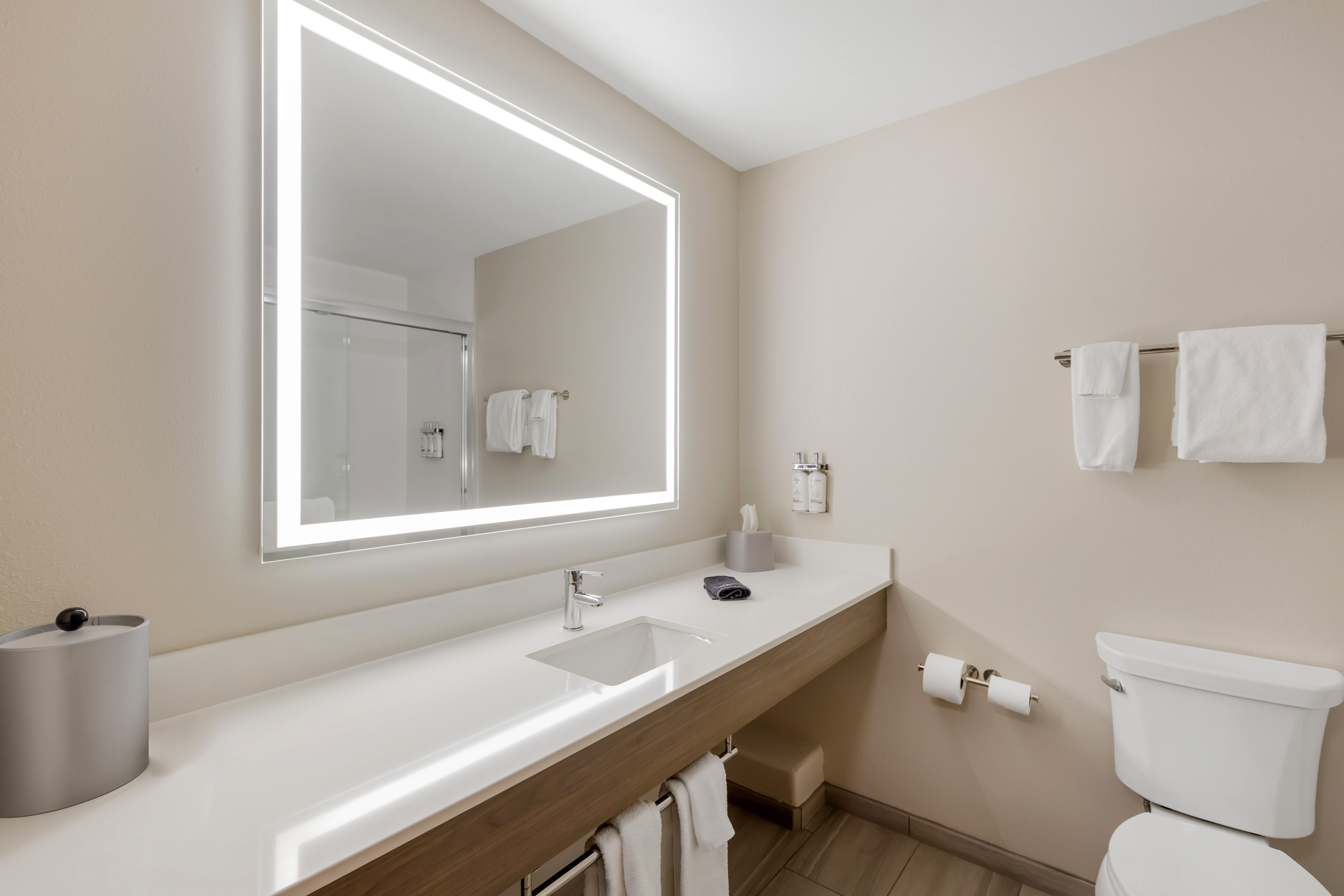 Holiday Inn Express Hotel Suites Douglas 74/75