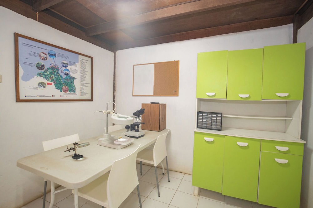 Menjangan Ecolodge 33/50