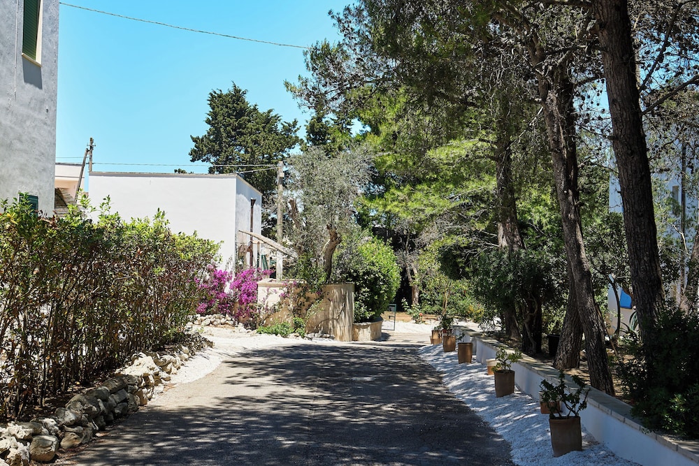 Tenuta Belvedere 44/50
