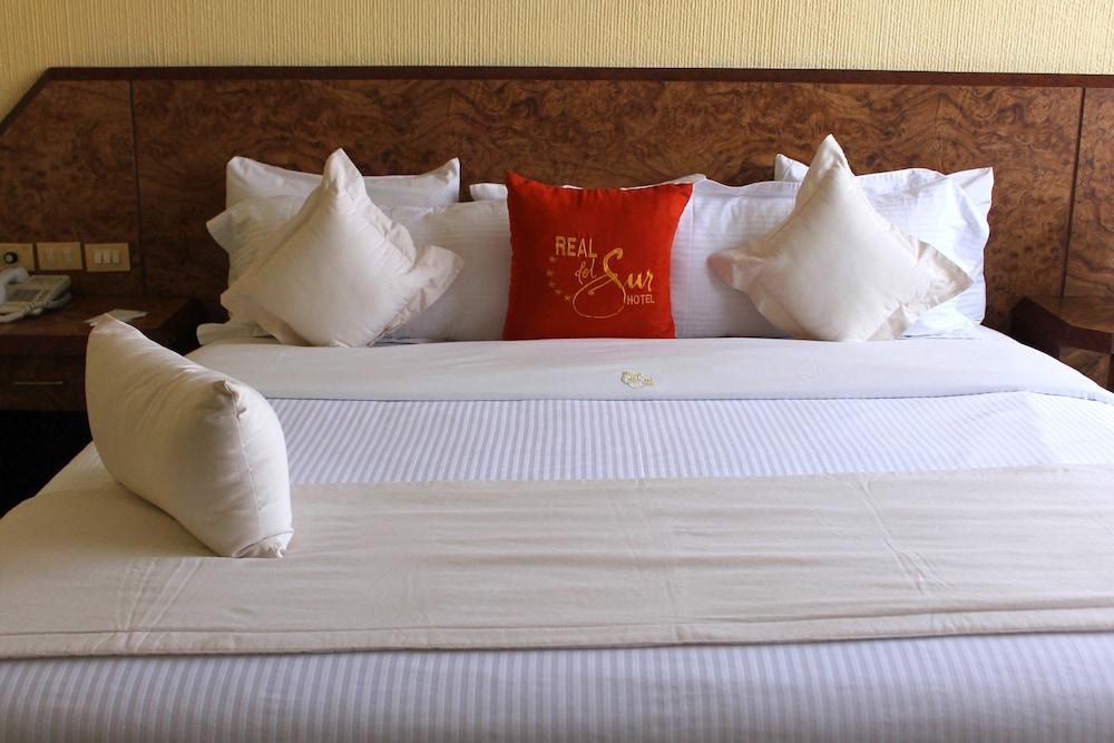 Real Del Sur Hotel 17/50