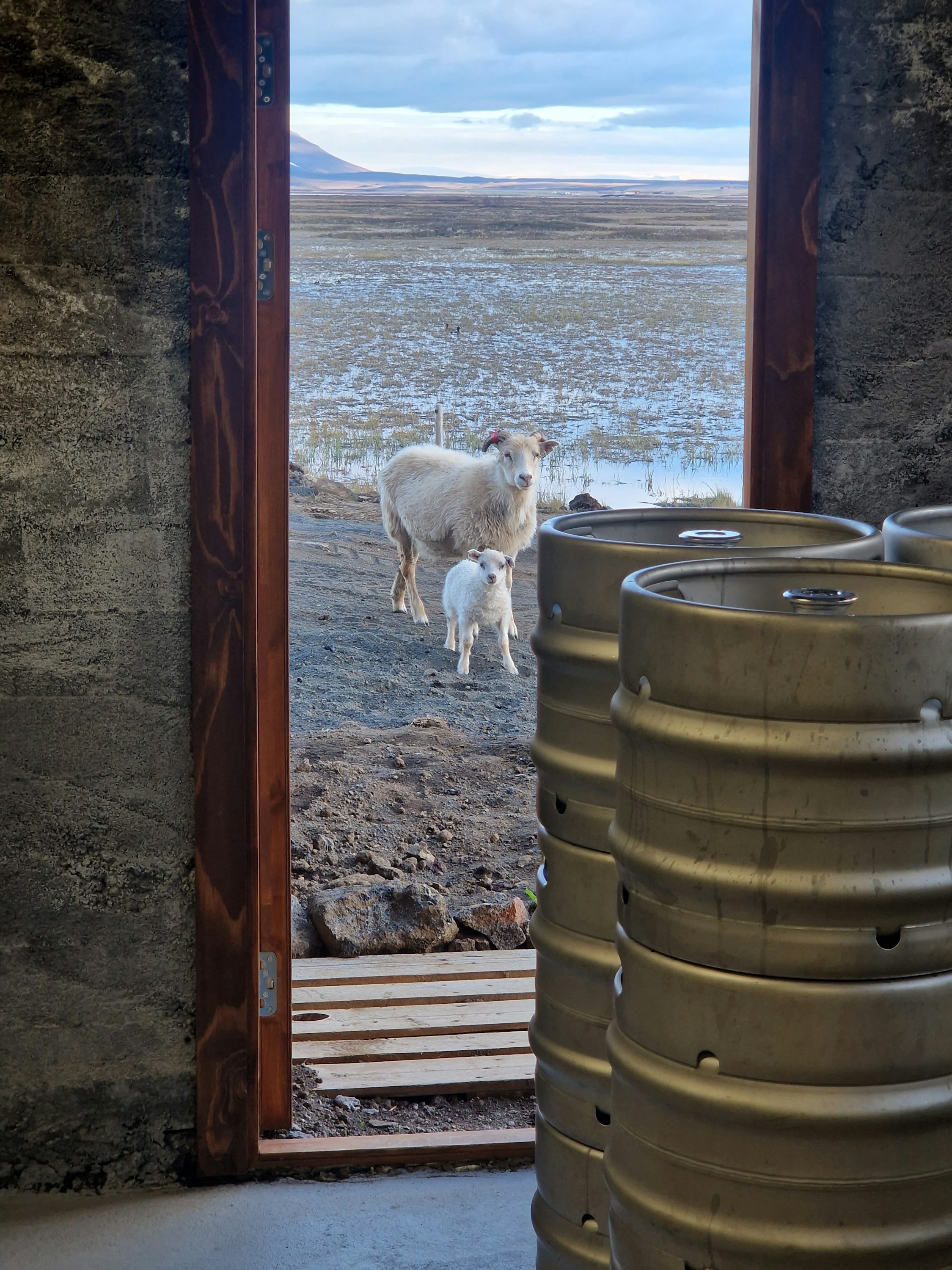 Sel-Hotel Myvatn 68/69