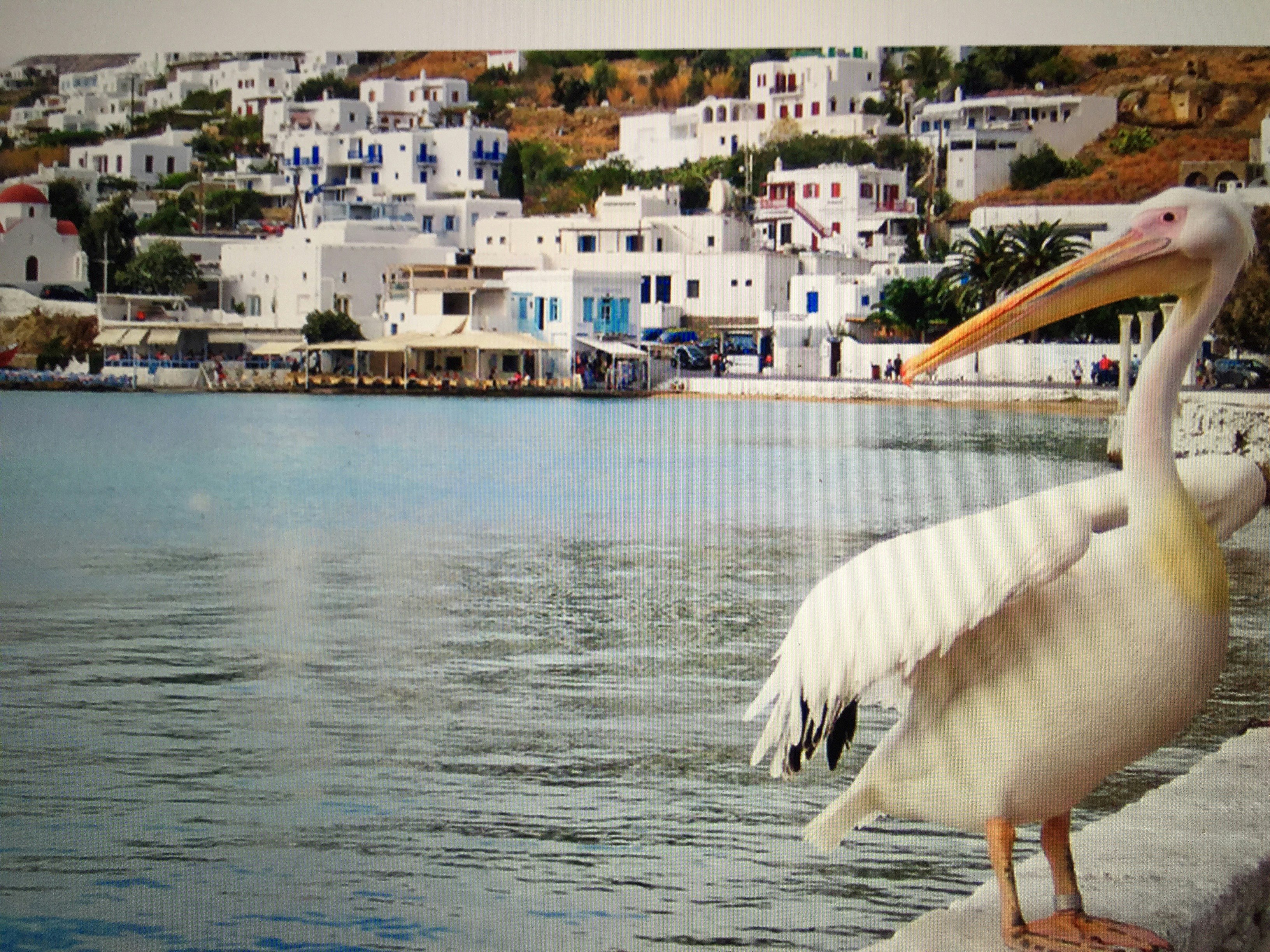 Dionysos Luxury Hotel Mykonos 57/59