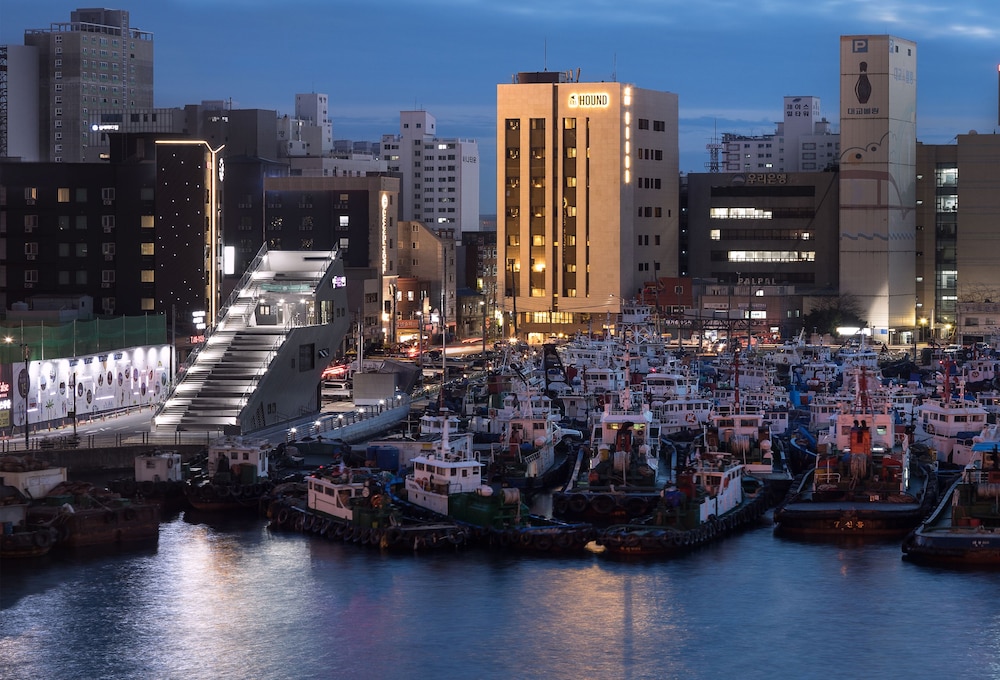 Bay Hound酒店(Bay Hound Hotel) 图片4