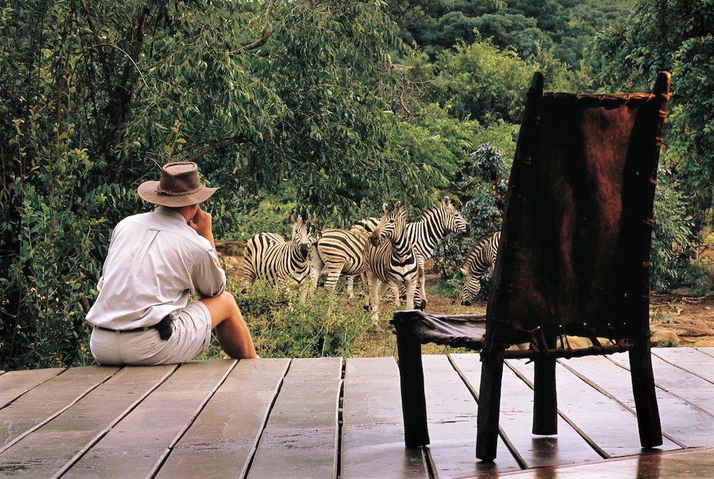 Makweti Safari Lodge 9/37
