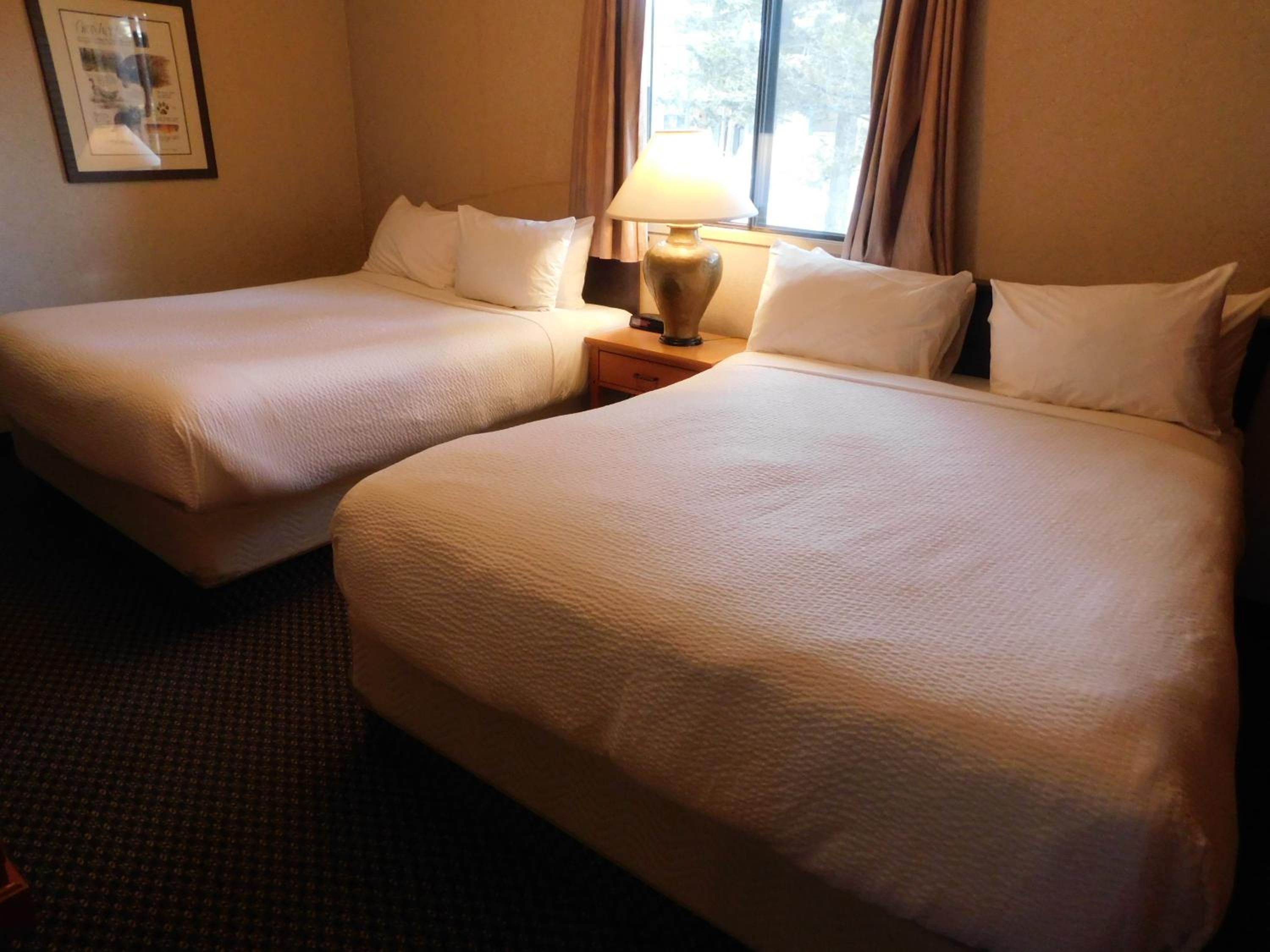 1 Bedroom, Condo, Loft