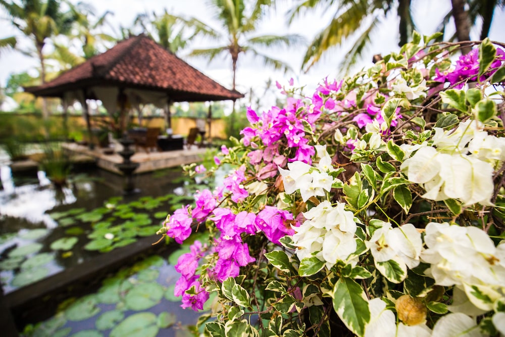 Vision Villa Resort 43/50