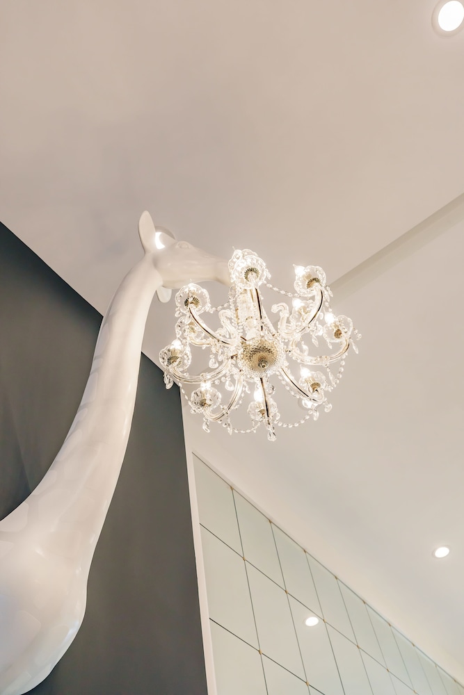 Kompose酒店Sarasota(Kompose Hotel Sarasota) 图片4