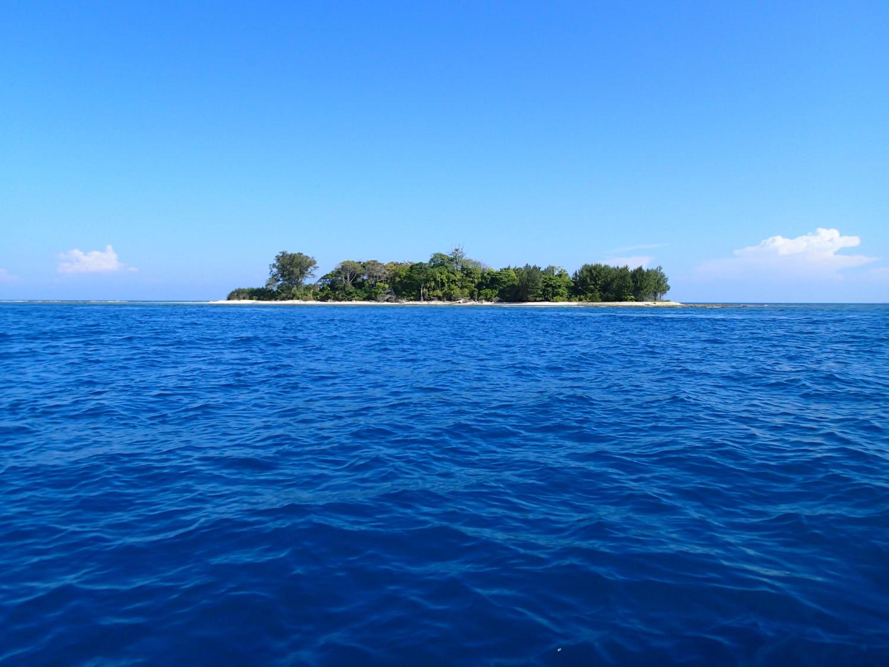 Ayu Hotel Karimunjawa 35/50