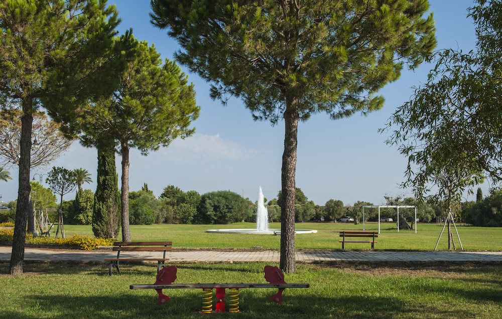 Tenuta La Baronessa 50/64