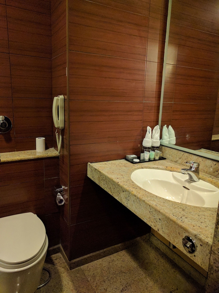 Blupetal A Business Hotel 11/40
