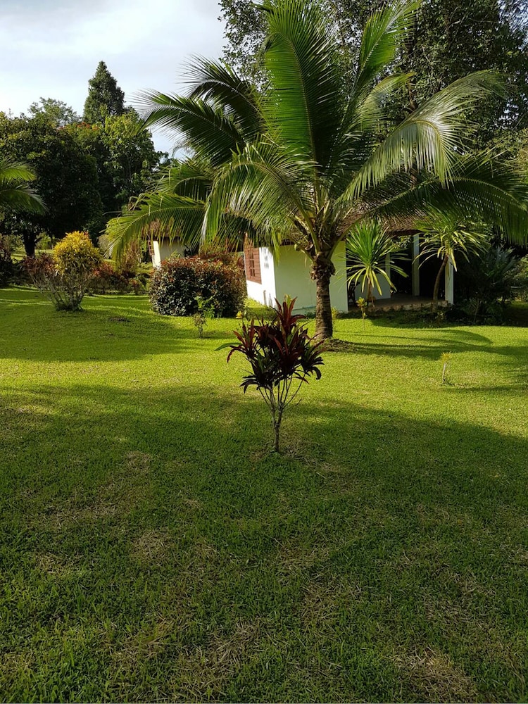 Phanom Bencha Mountain Resort photo4