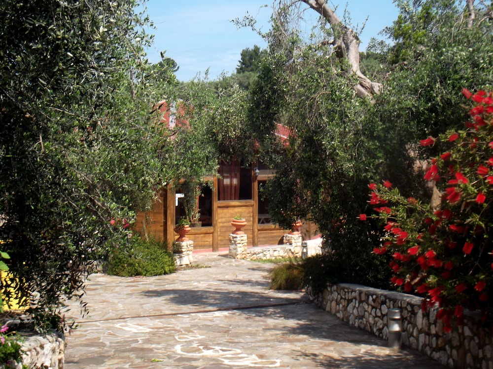 Poggio Degli Ulivi 51/55