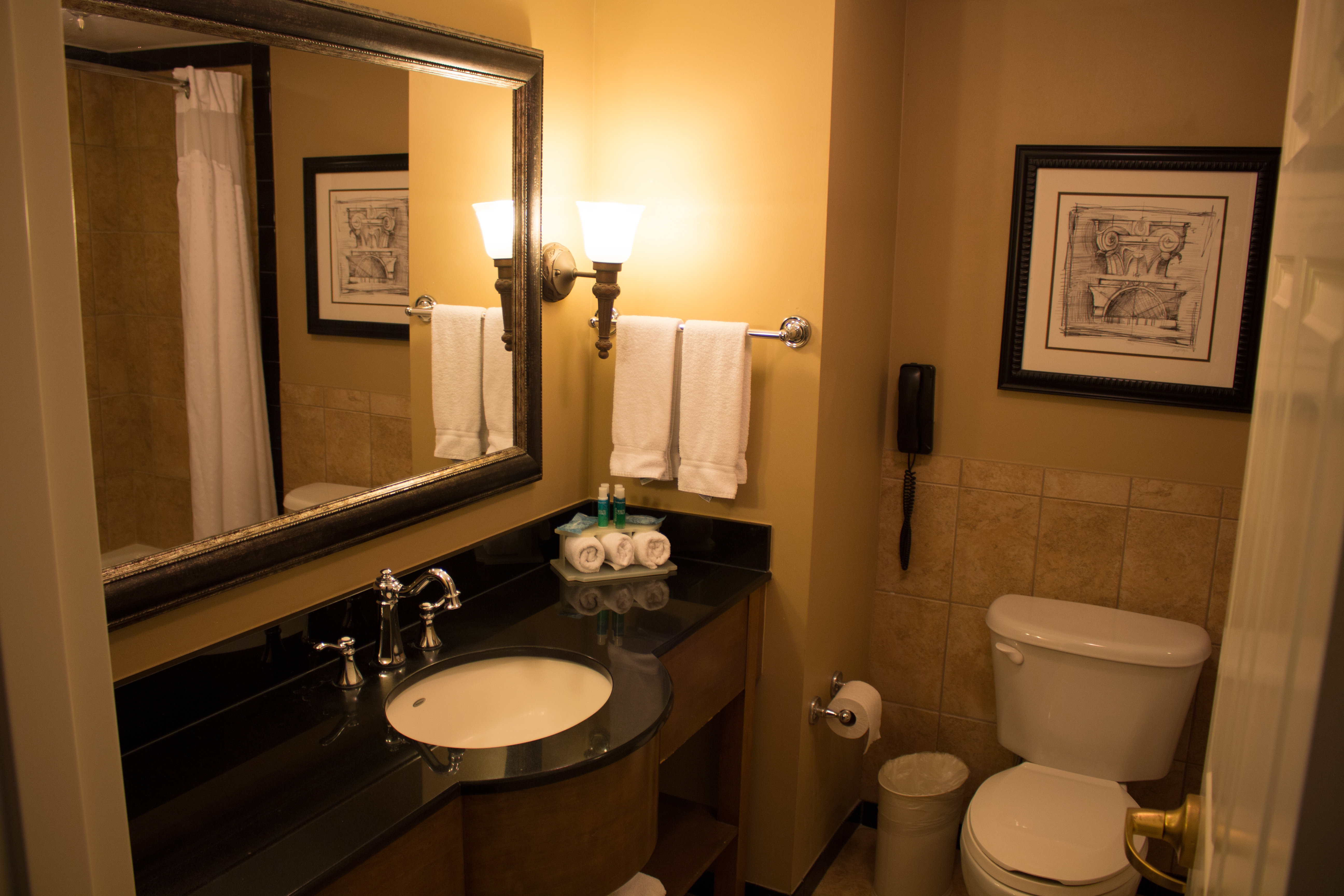 Holiday Inn Express Savannah Historic District 72/74