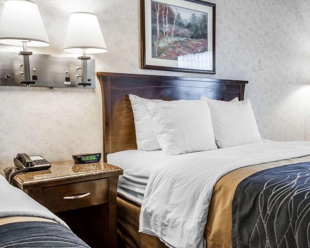 COMFORT INN(BELLINGHAM) 14/42