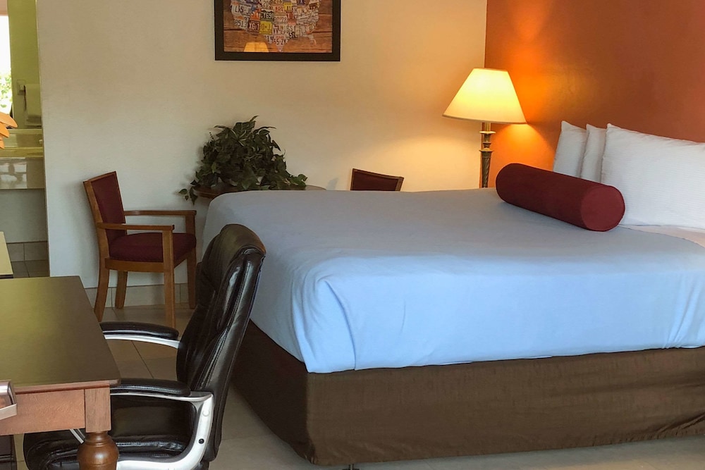 Econo Lodge Fort Myers North photo5