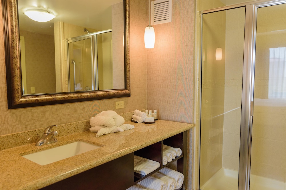 Embassy Suites by Hilton Minneapolis North 17/72