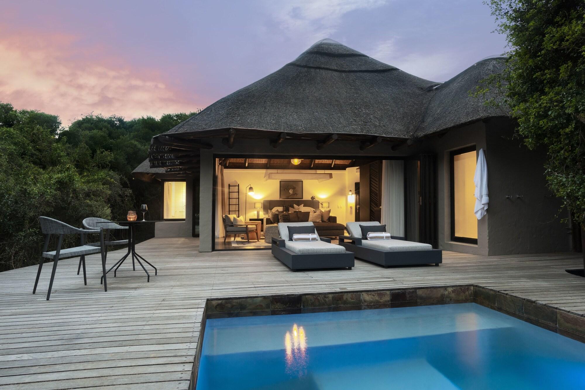 Shamwari Game Reserve - Eagles Crag 15/55