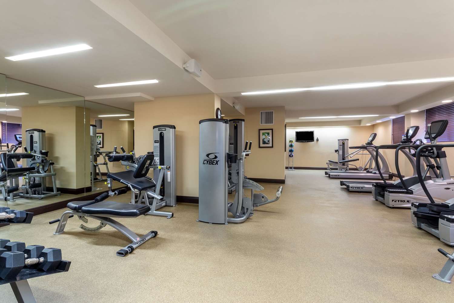 Wyndham Deerfield Beach Resort 30/53