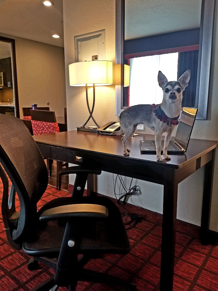Homewood Suites by Hilton Calgary-Airport, Alberta, Canada 43/45