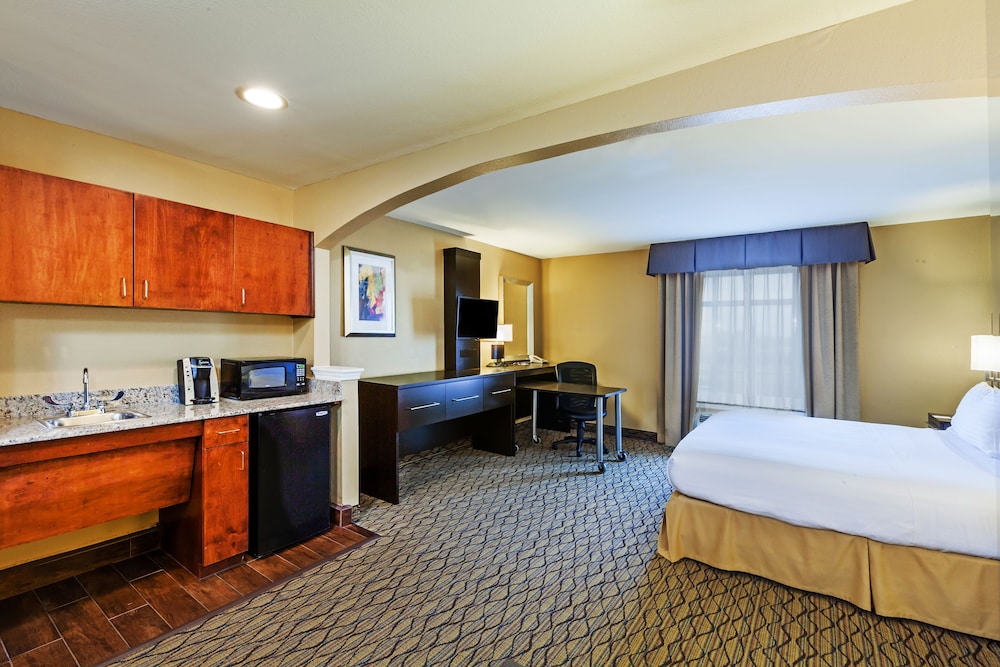 Holiday Inn Express Hotel And Suites Houston Downtown Convention Center 23/72