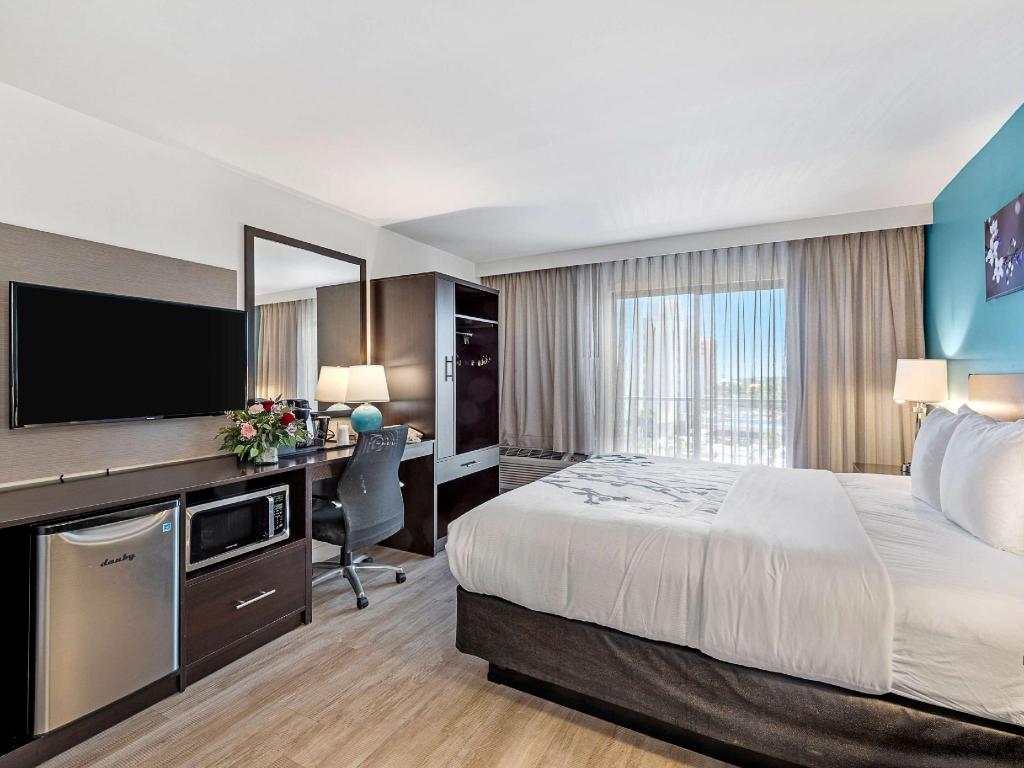 Efficiency, King Bed