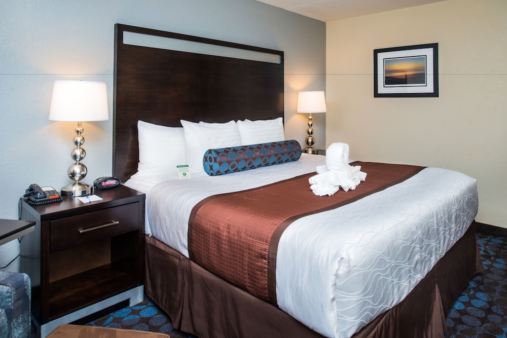 Best Western Plus Hollywood/Aventura 15/39