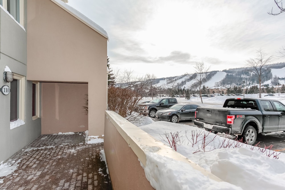 The Lodges At Blue Mountain Wintergreen Condos 42/48