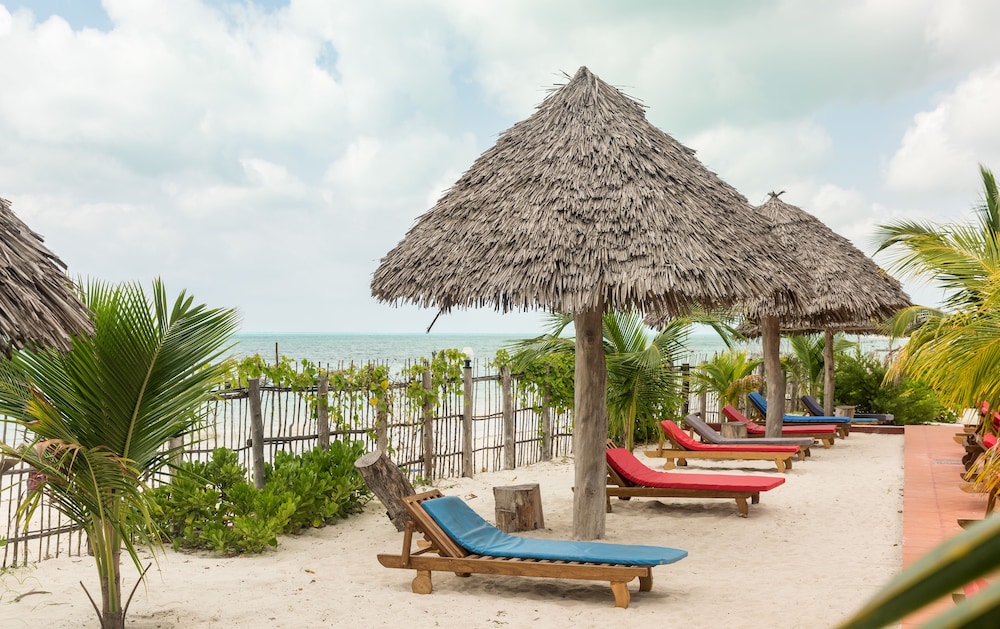 Ifa Beach Resort 33/50