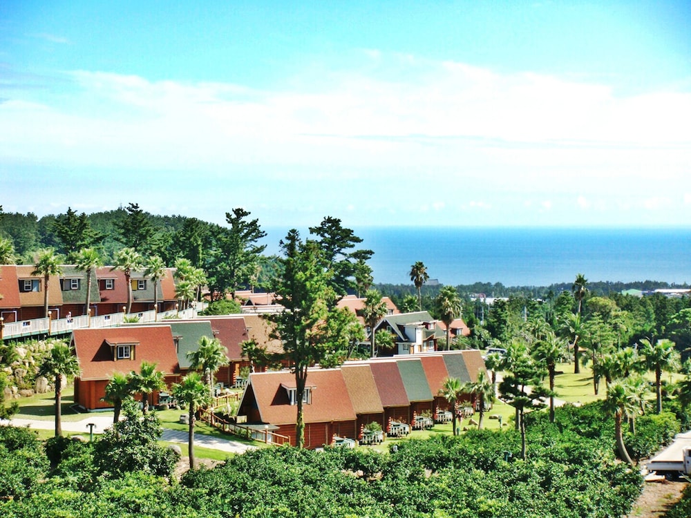 Jeju Jungmun Log Pension Resort 42/50