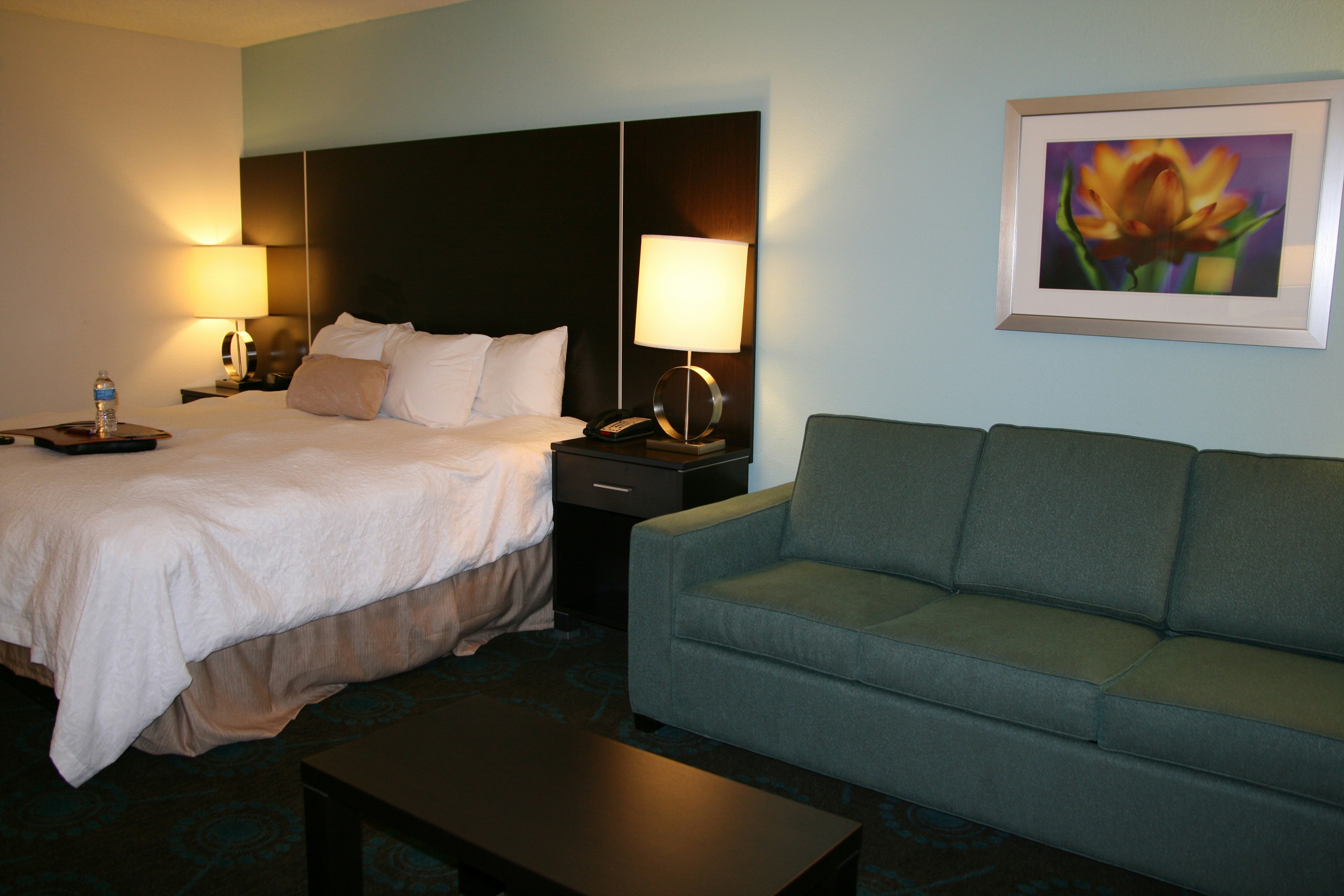 Hampton Inn Shreveport Airport La 19/83